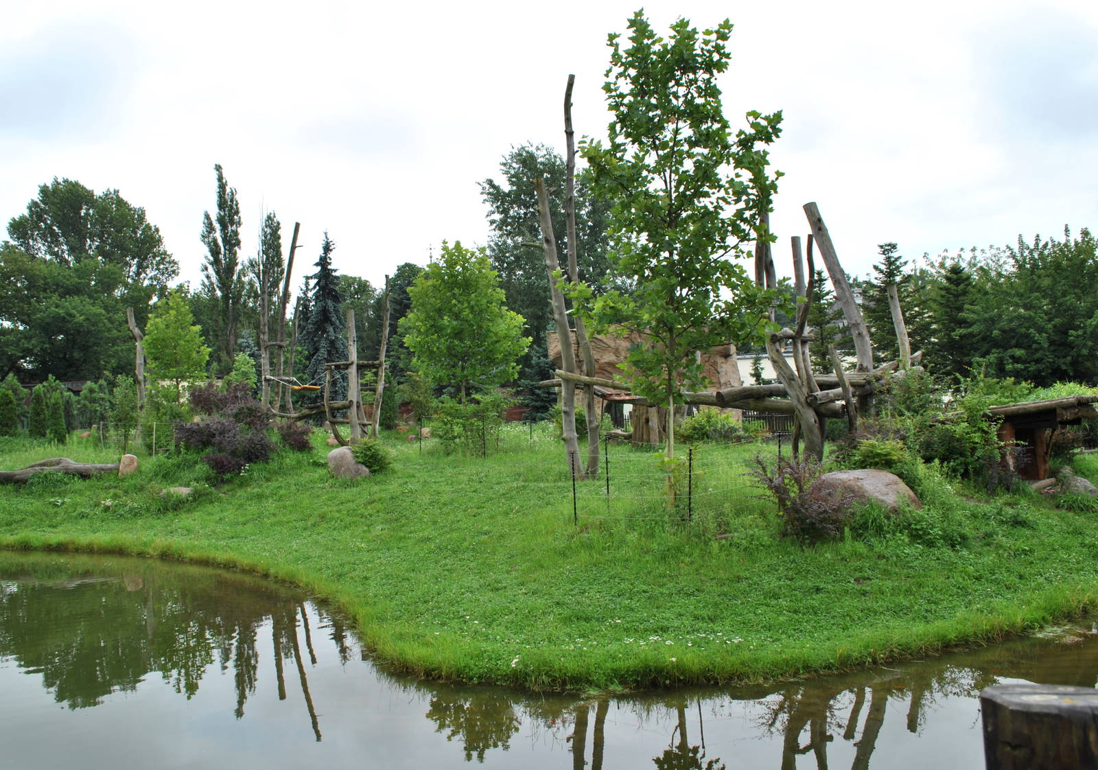Gorillas exhibit