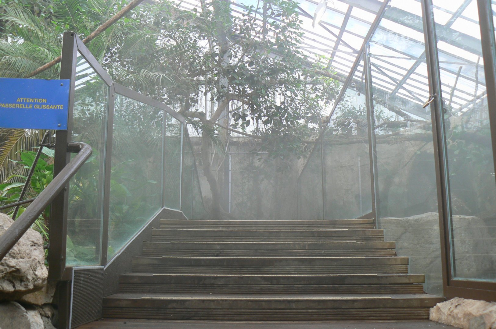Gorillas greenhouse - passage between stingray/caimans/turtles pool (left) and new dwarf crocodiles enclosure (right)
