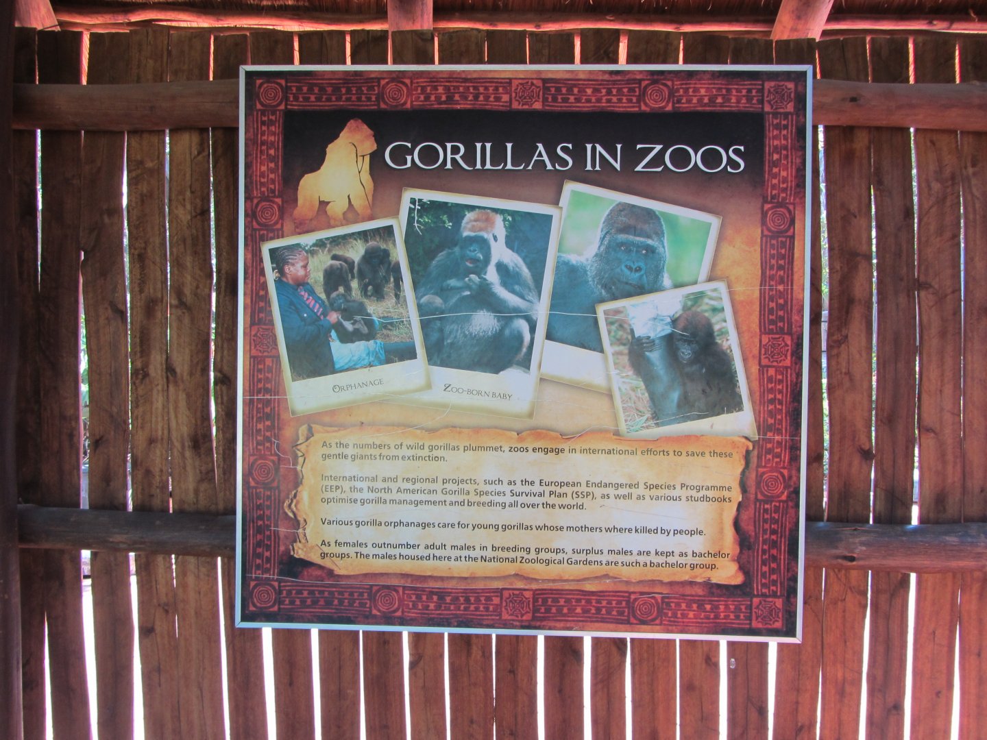 "Gorillas in Zoos" Signage