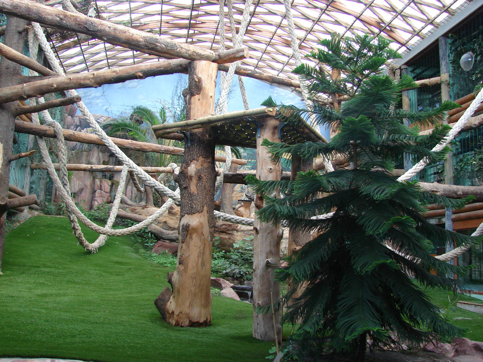 Gorillas indoor exhibit - Saint Martin la Plaine