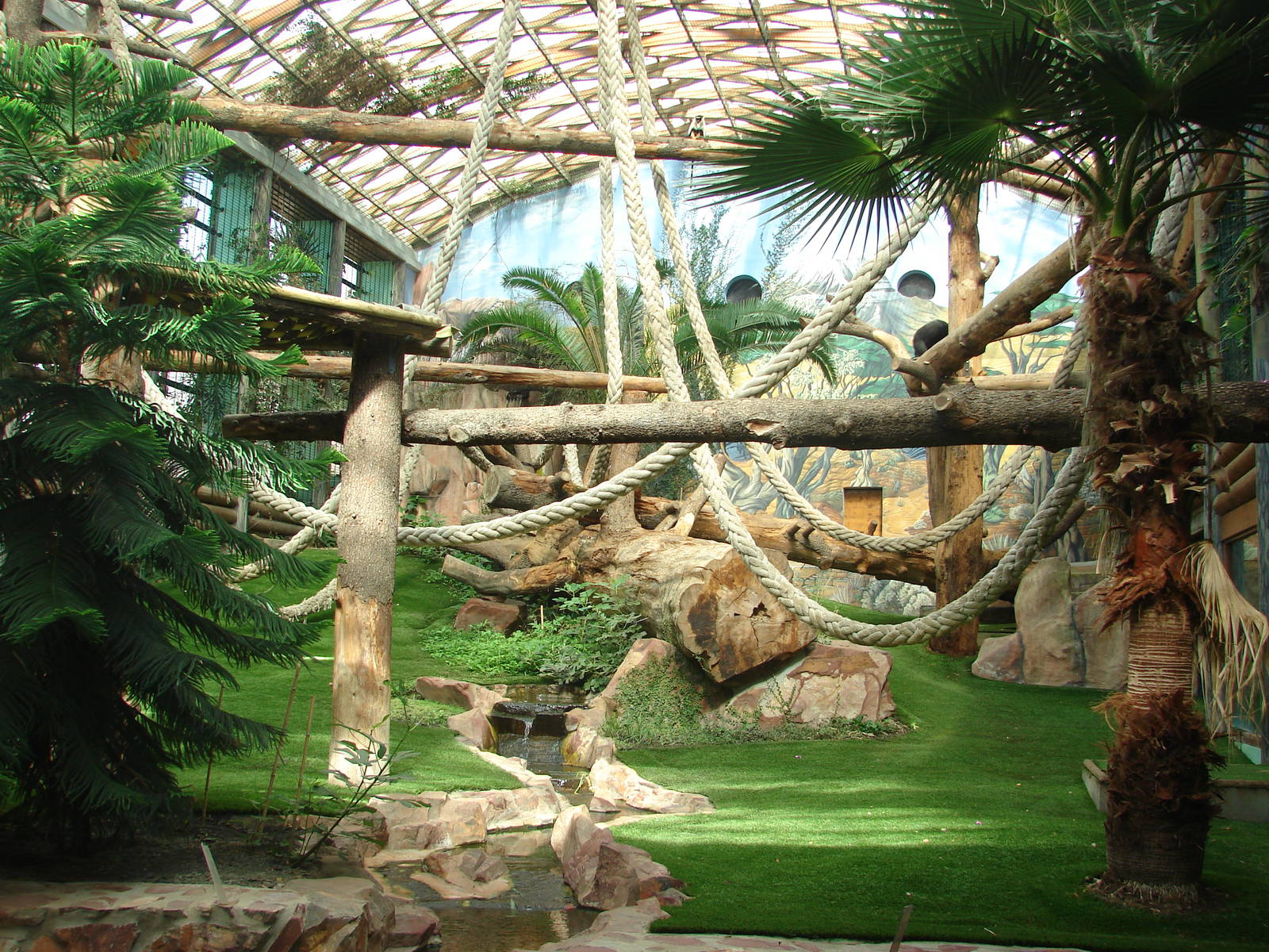 Gorillas indoor exhibit - Saint Martin la Plaine