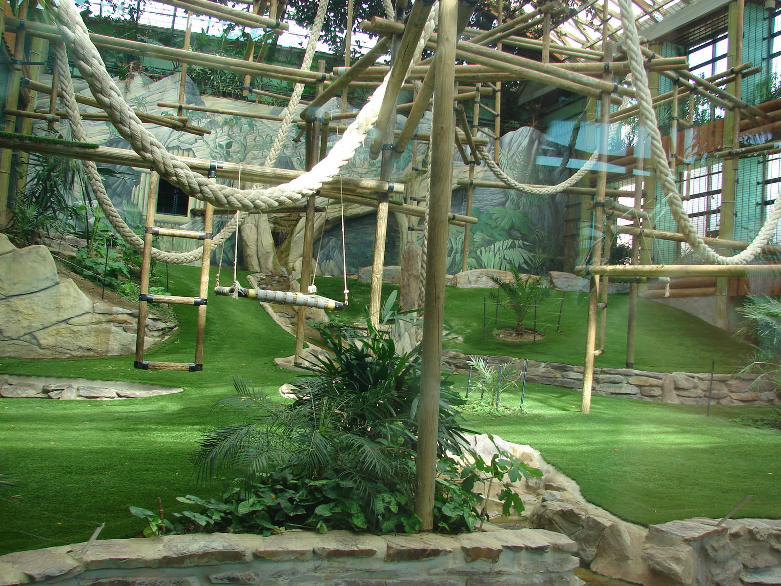 Gorillas indoor exhibit - Saint Martin la Plaine