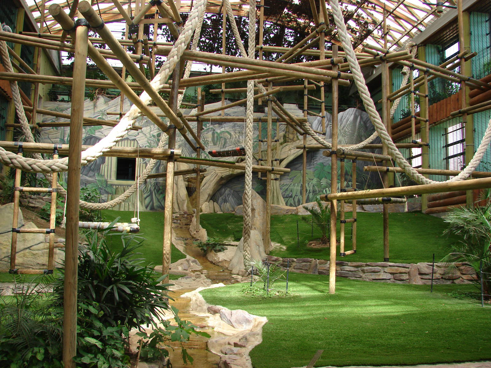 Gorillas indoor exhibit - Saint Martin la Plaine