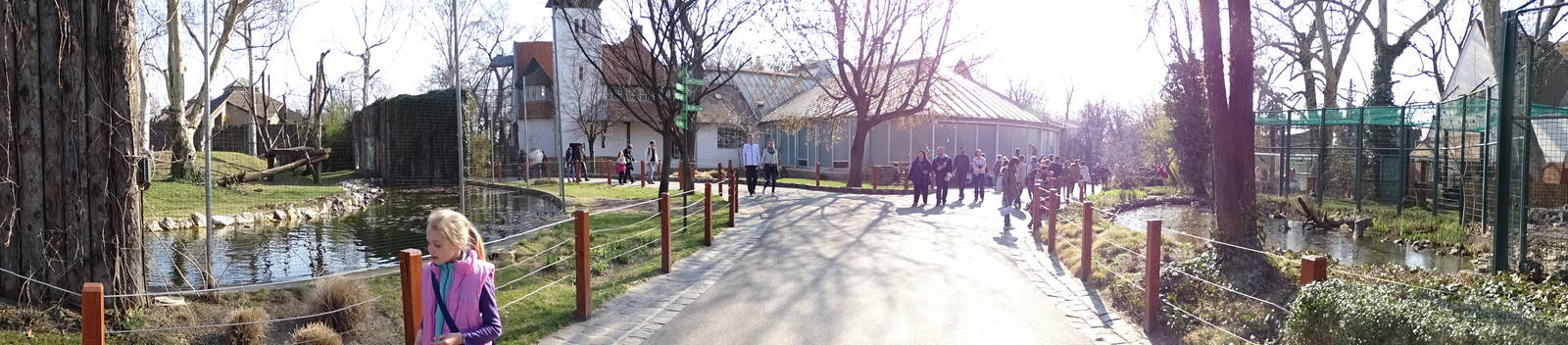 Gorillas, Madagascar house, lions