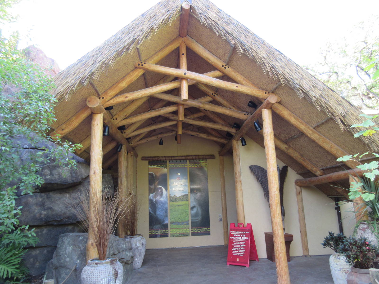 Gorillas of the African Forest - Arrival Building