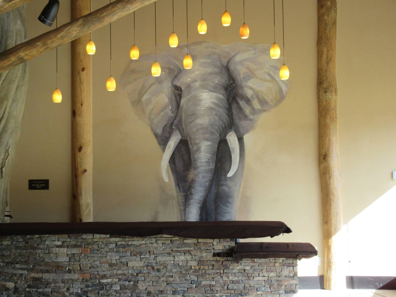 Gorillas of the African Forest - Arrival Building