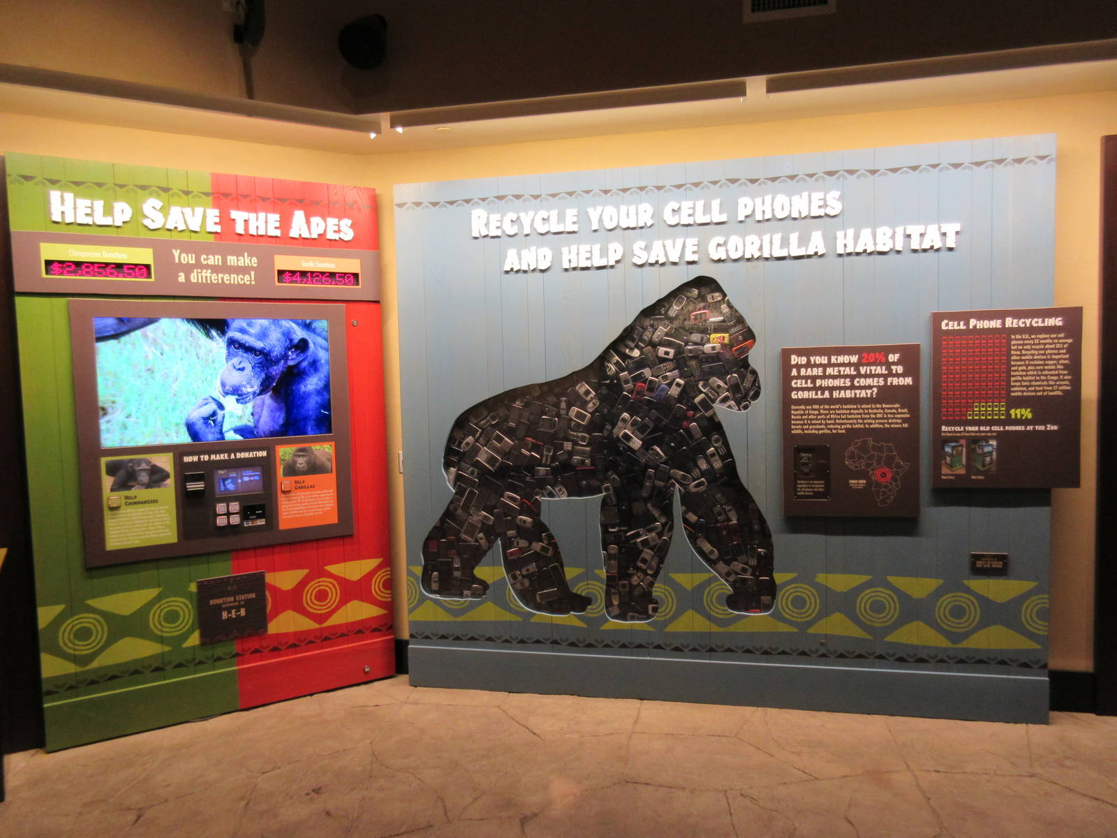 Gorillas of the African Forest - Cellphones Galore!