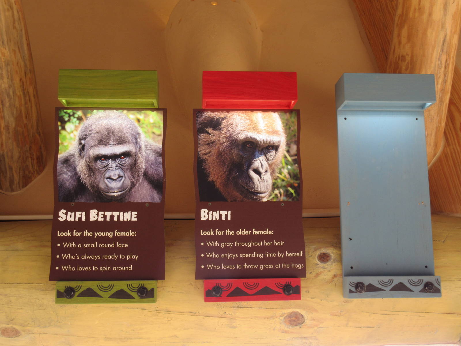 Gorillas of the African Forest - Inhabitants