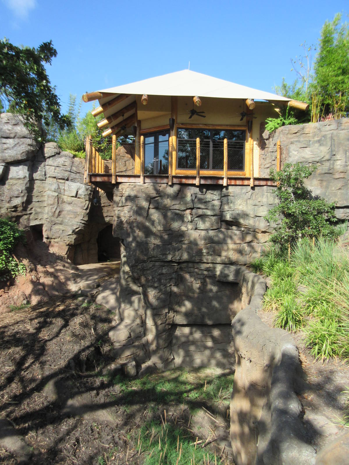 Gorillas of the African Forest - Keeper's Observation Deck?