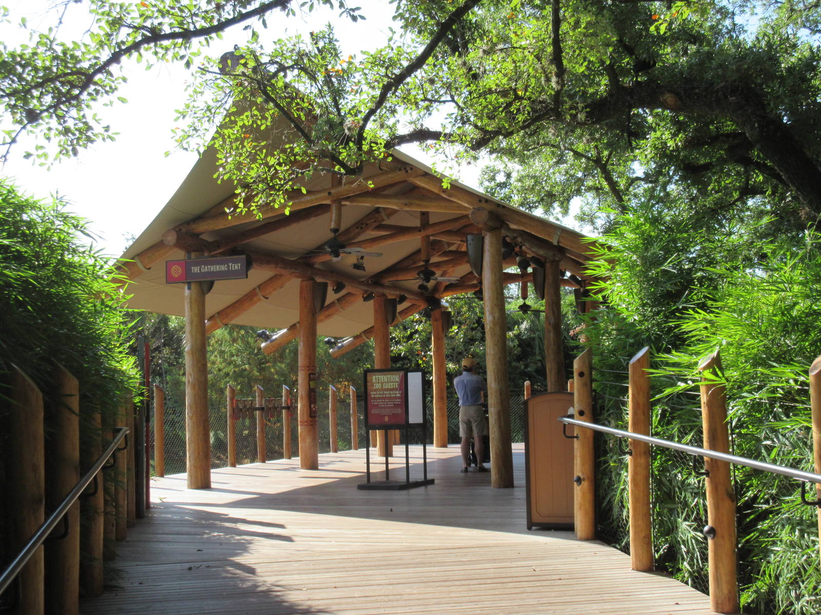 Gorillas of the African Forest - Outdoor Viewing Deck