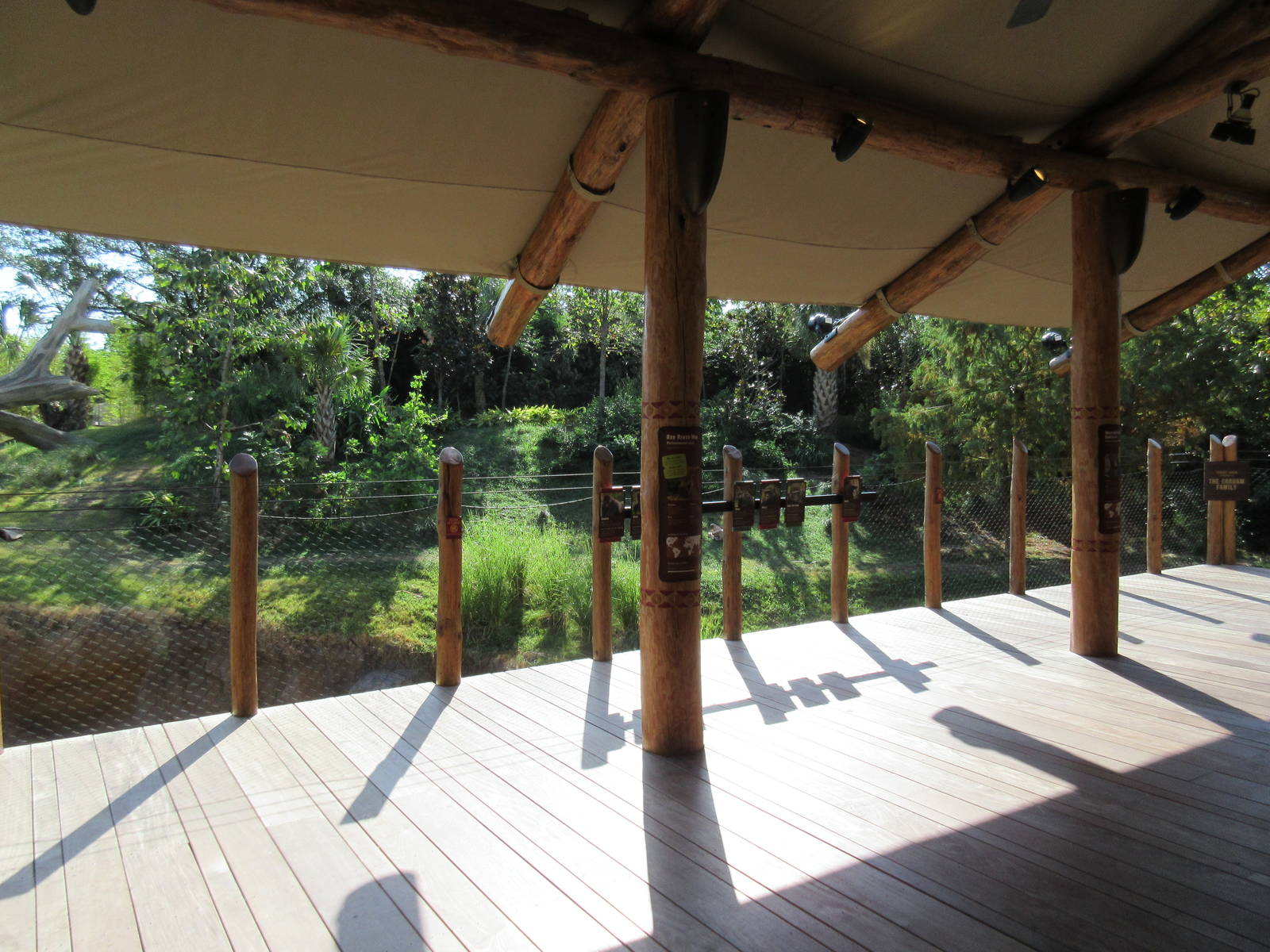 Gorillas of the African Forest - Outdoor Viewing Deck