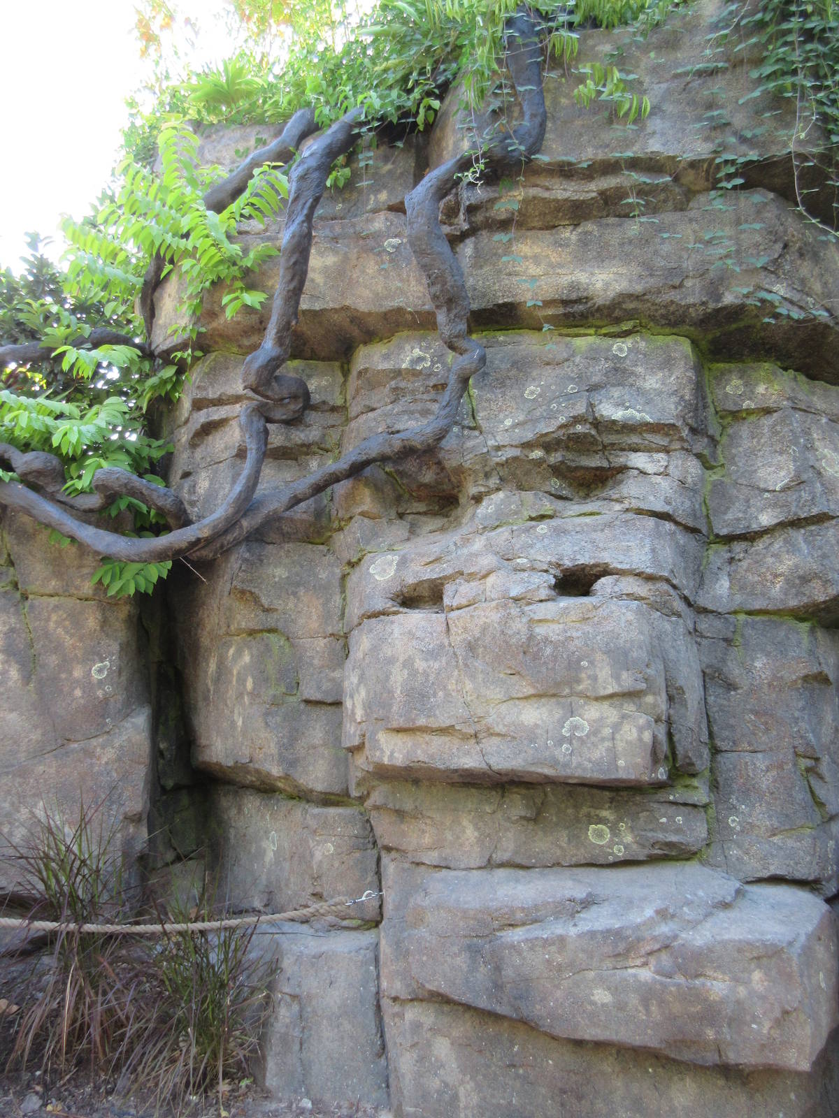 Gorillas of the African Forest - Pathway Rockwork