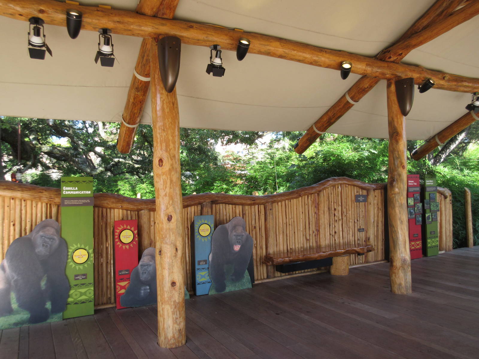 Gorillas of the African Forest - Viewing Deck