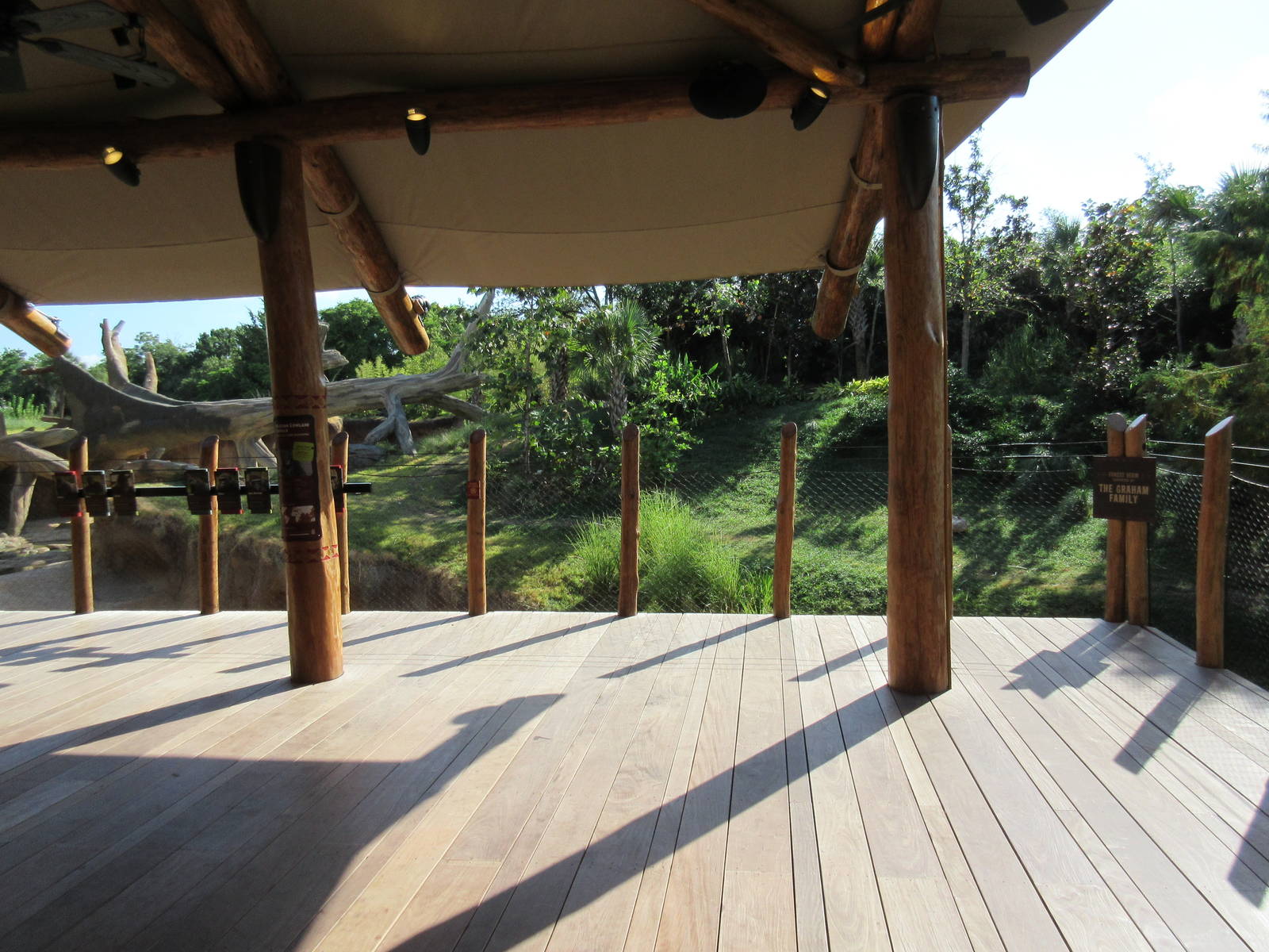 Gorillas of the African Forest - Viewing Deck