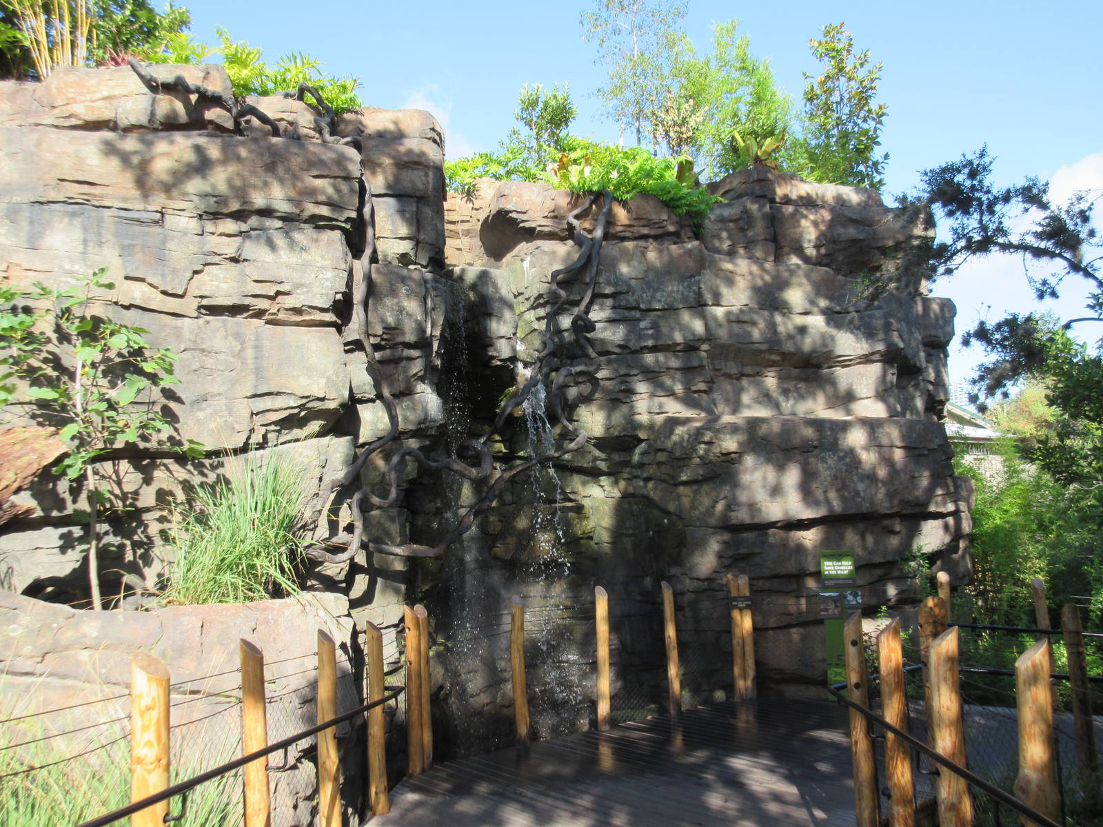 Gorillas of the African Forest - waterfall along pathway
