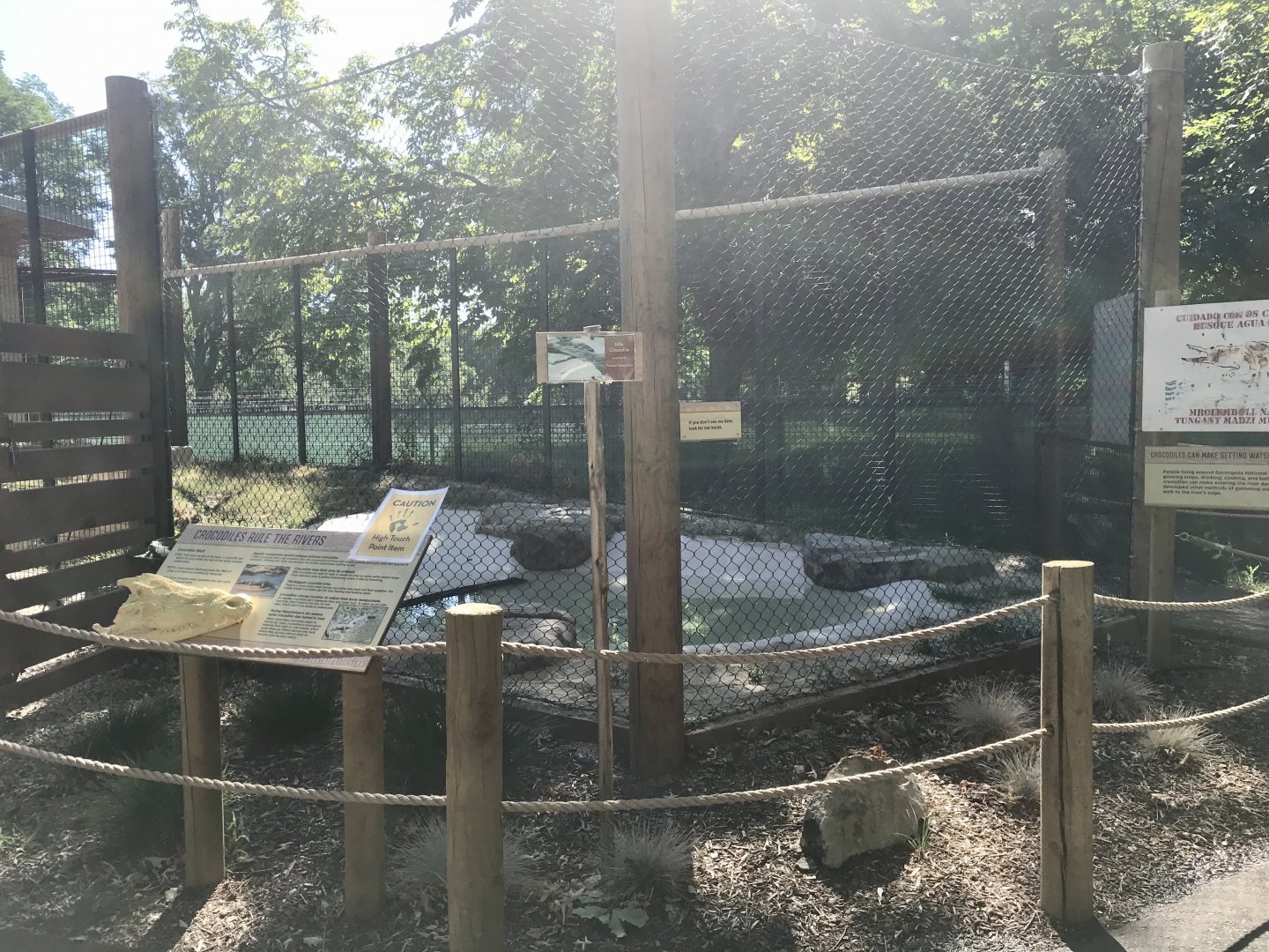 Gorongosa Exhibit - Nile Crocodile Outdoor Exhibit