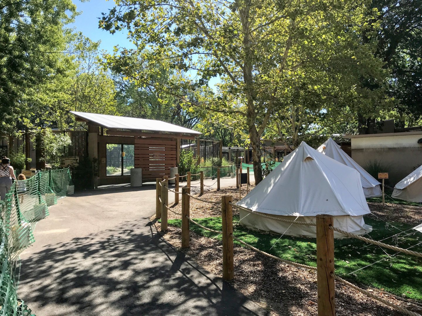 Gorongosa Exhibit - Painted Dog Viewing