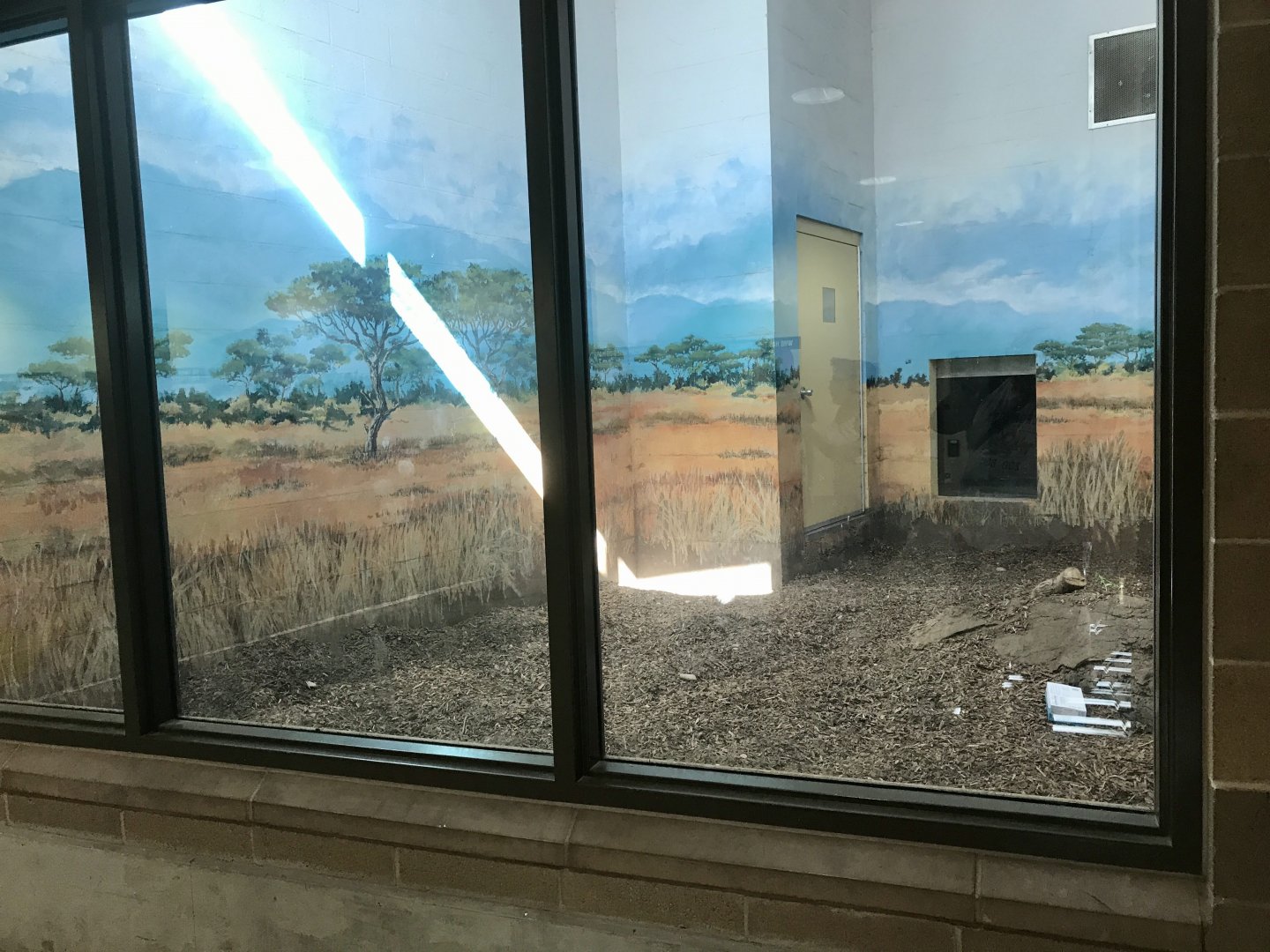 Gorongosa Exhibit - Striped Hyena Dayroom