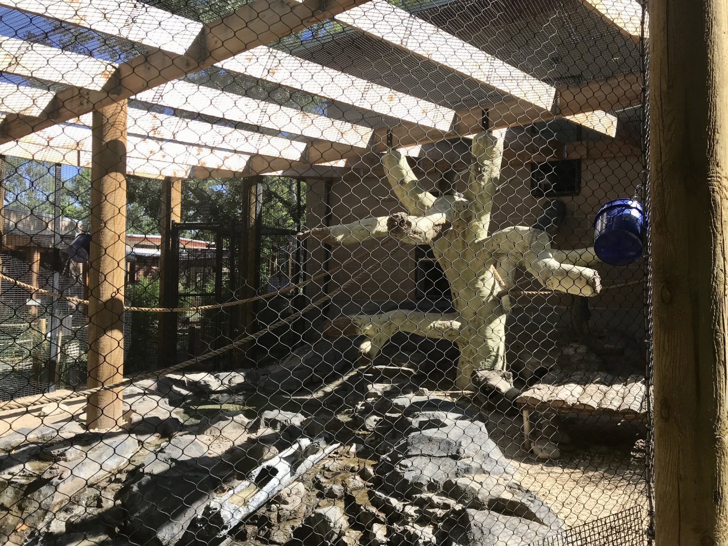 Gorongosa Exhibit - Vervet Monkey & Spotted-necked Otter