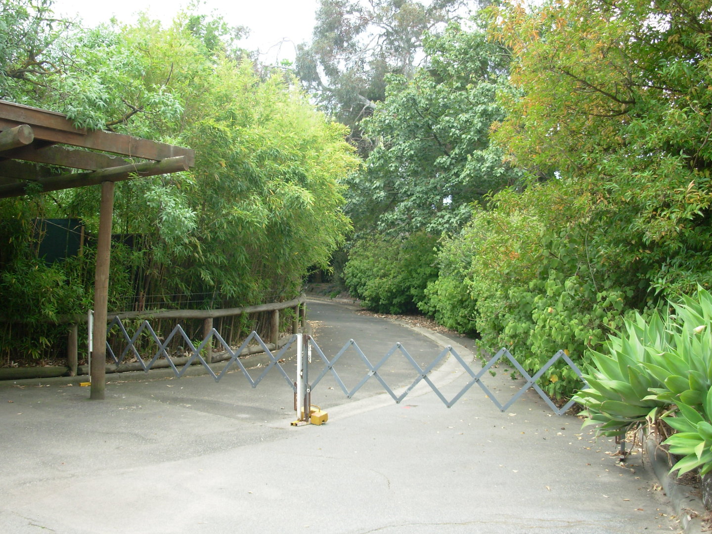 Gorrila Grottoes - Blocked Path