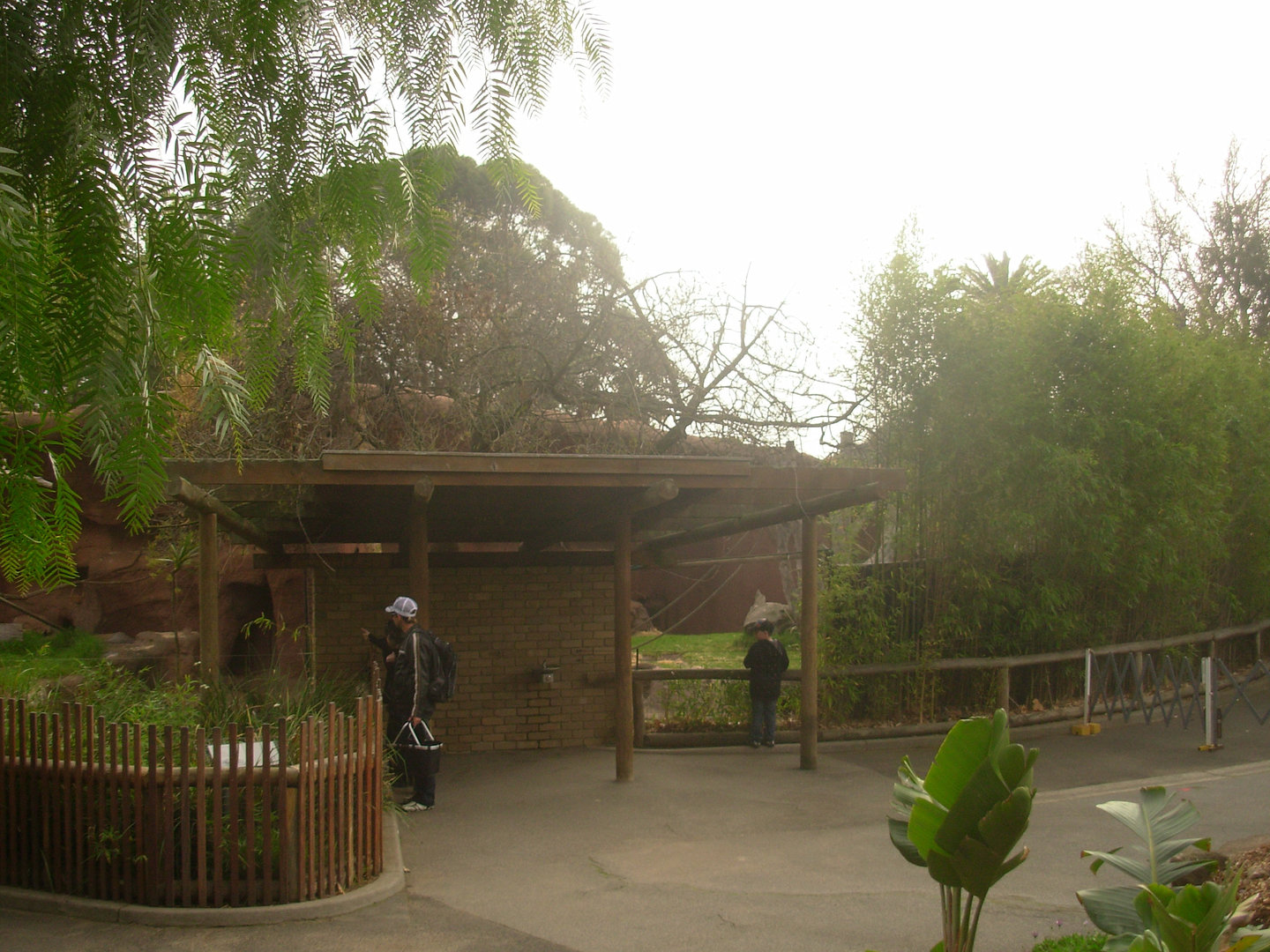 Gorrila Grottoes Patio