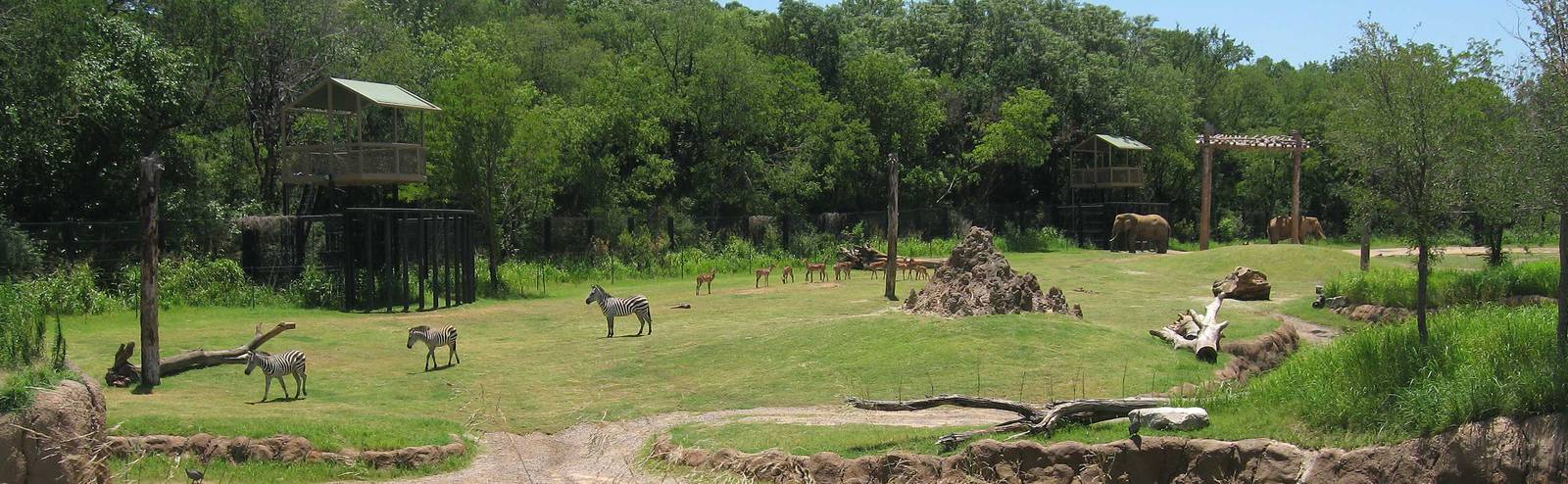 GotS Panorama - Mixed Species