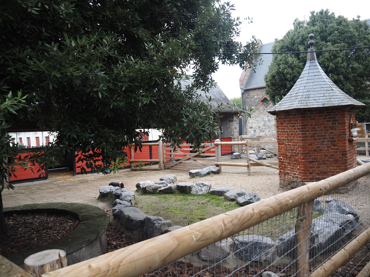Göttinger mini pig and Chinese goose paddocks and pigeon tower in former entrance area, 2024-09-17