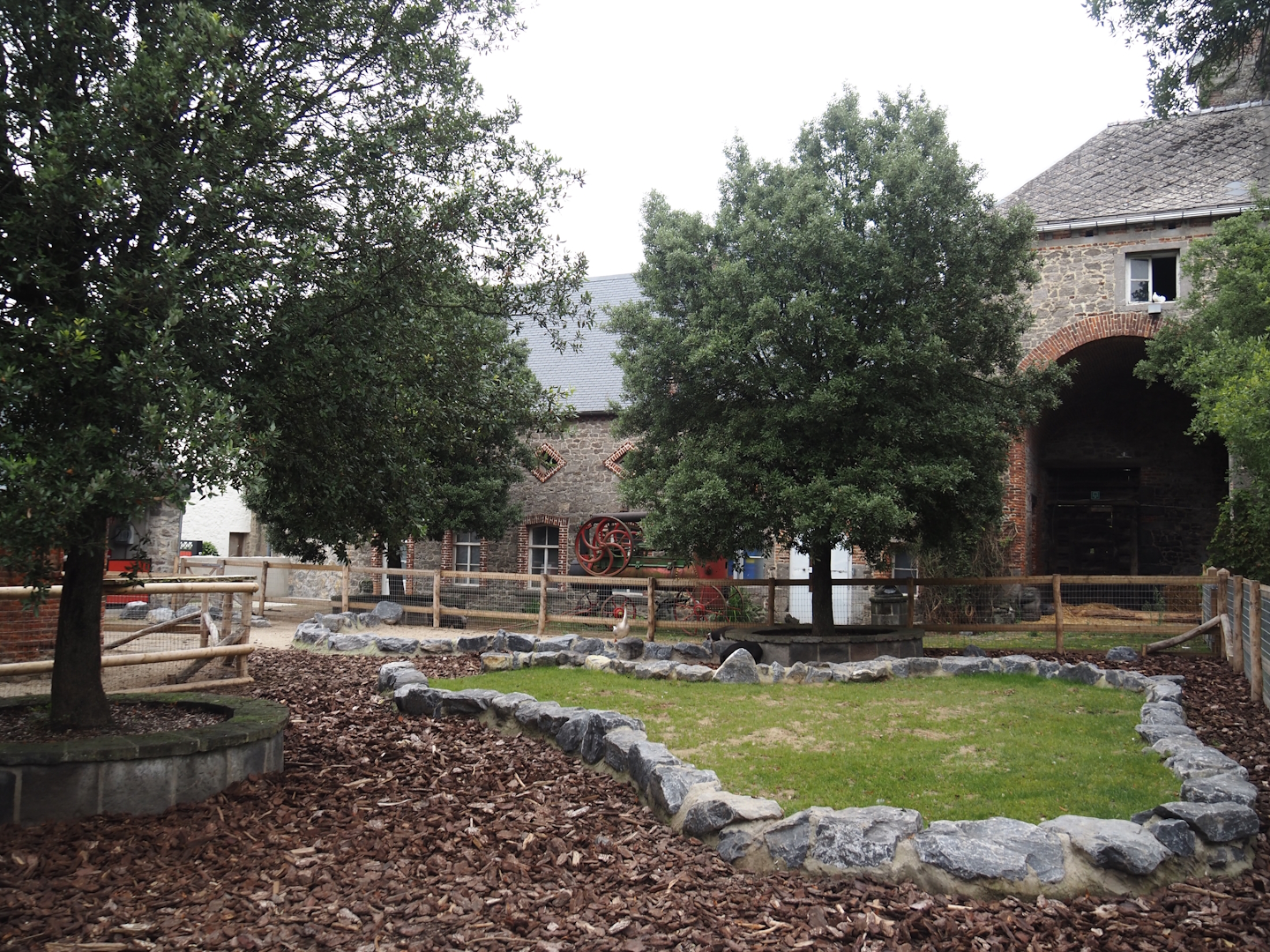 Göttinger mini pig and Chinese goose paddocks in former entrance area, 2024-09-17