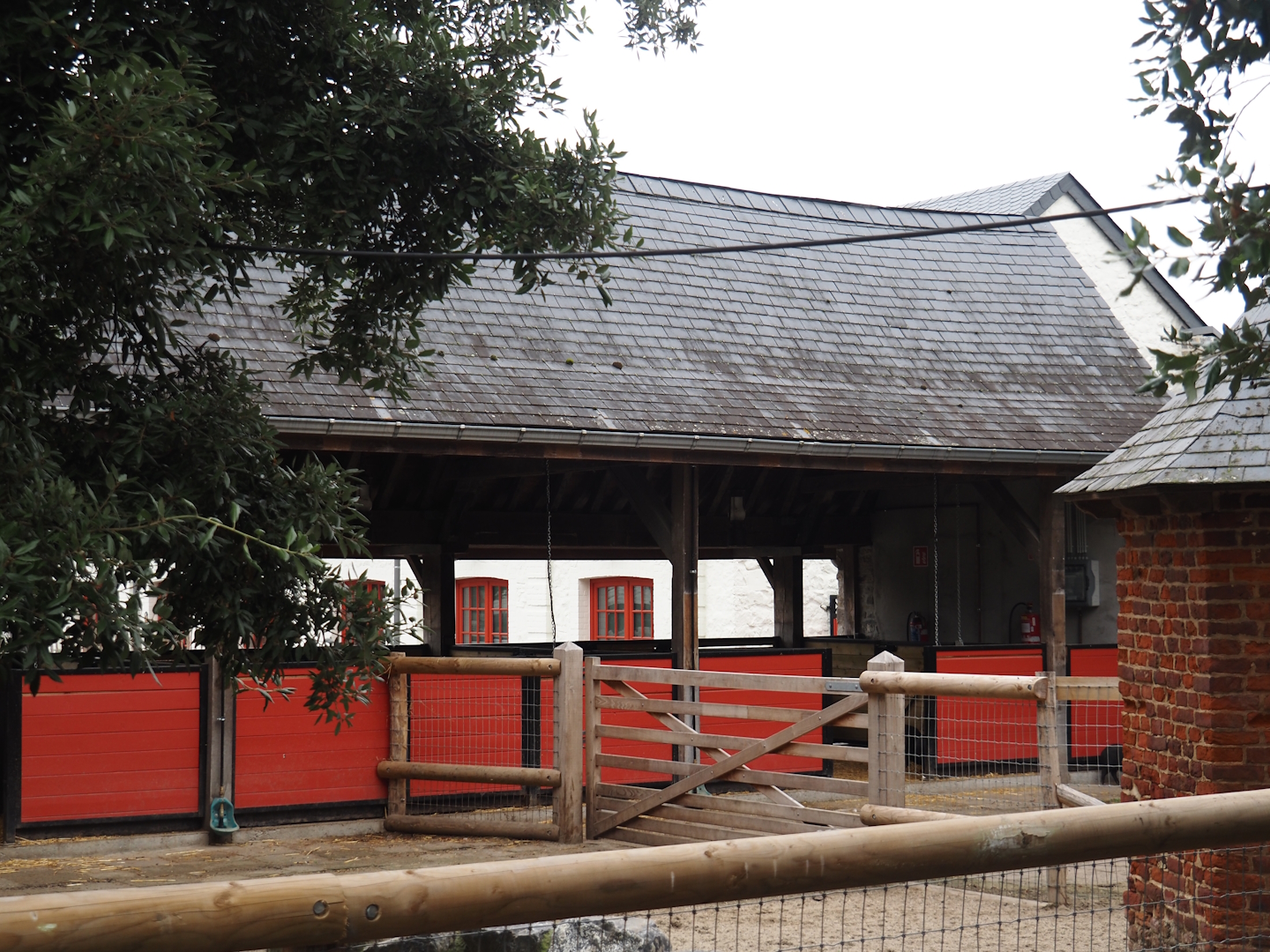 Göttinger mini pig and Chinese goose shelter and holding areas in former ticket checkpoint area, 2024-09-17