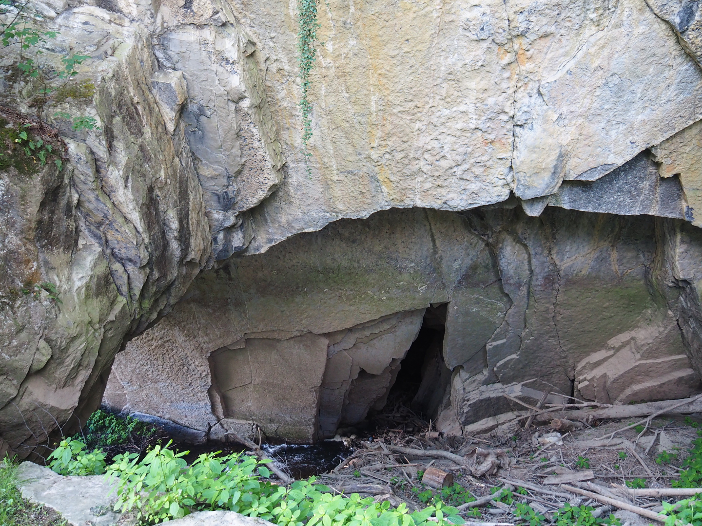 Gouffre de Belvaux/Chasm of Belvaux, 2020-07-12
