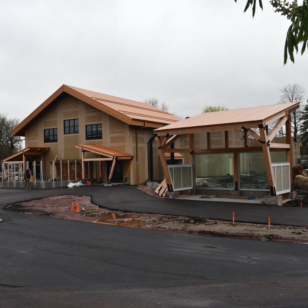 GPZ Lion Construction Update