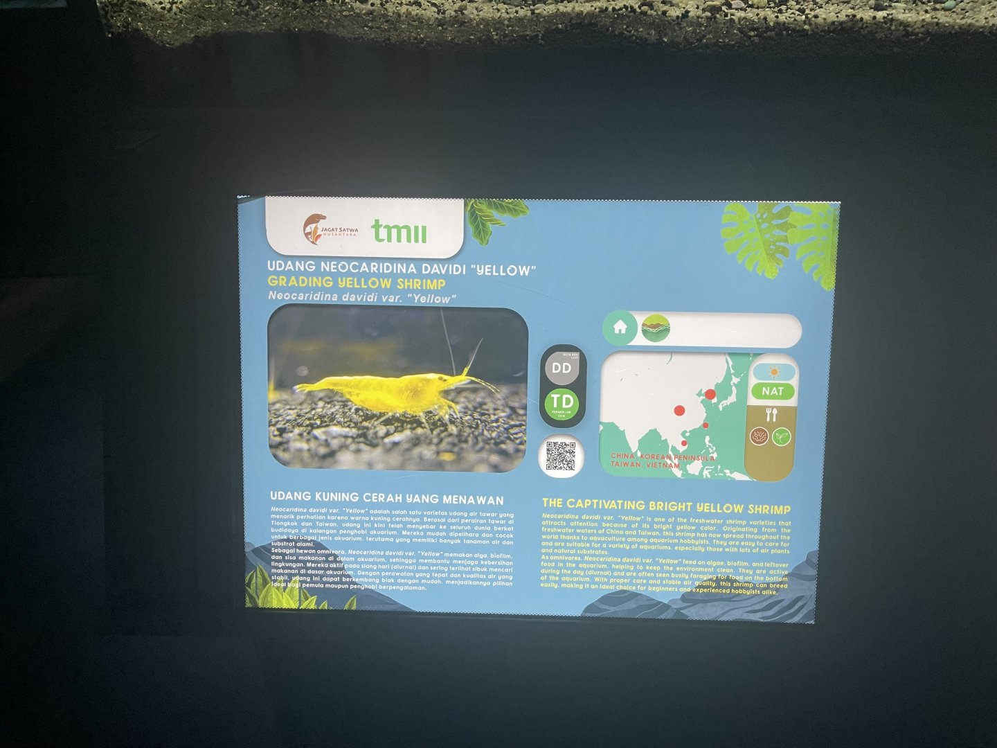 grading yellow shrimp signage - dunia air tawar