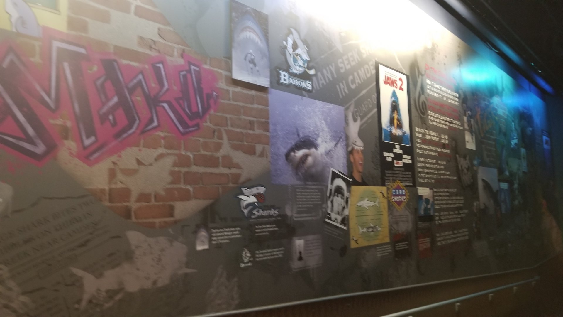 "Graffiti" wall with sharks in media