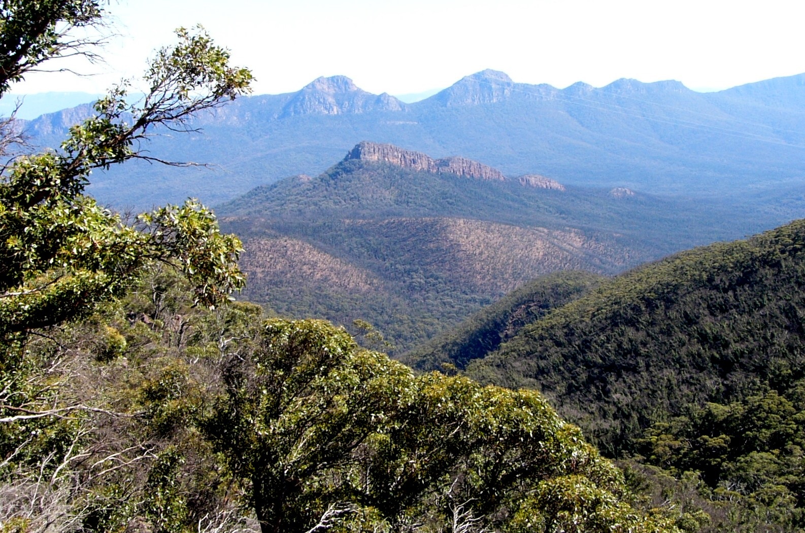 Grampion range, NSW/Victoria border