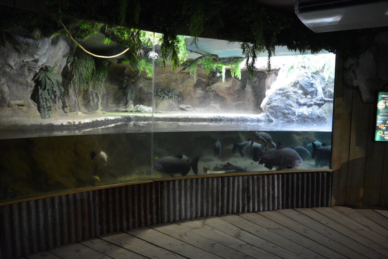 Grand Aquarium de Tourainne - Amazonas River Aquarium