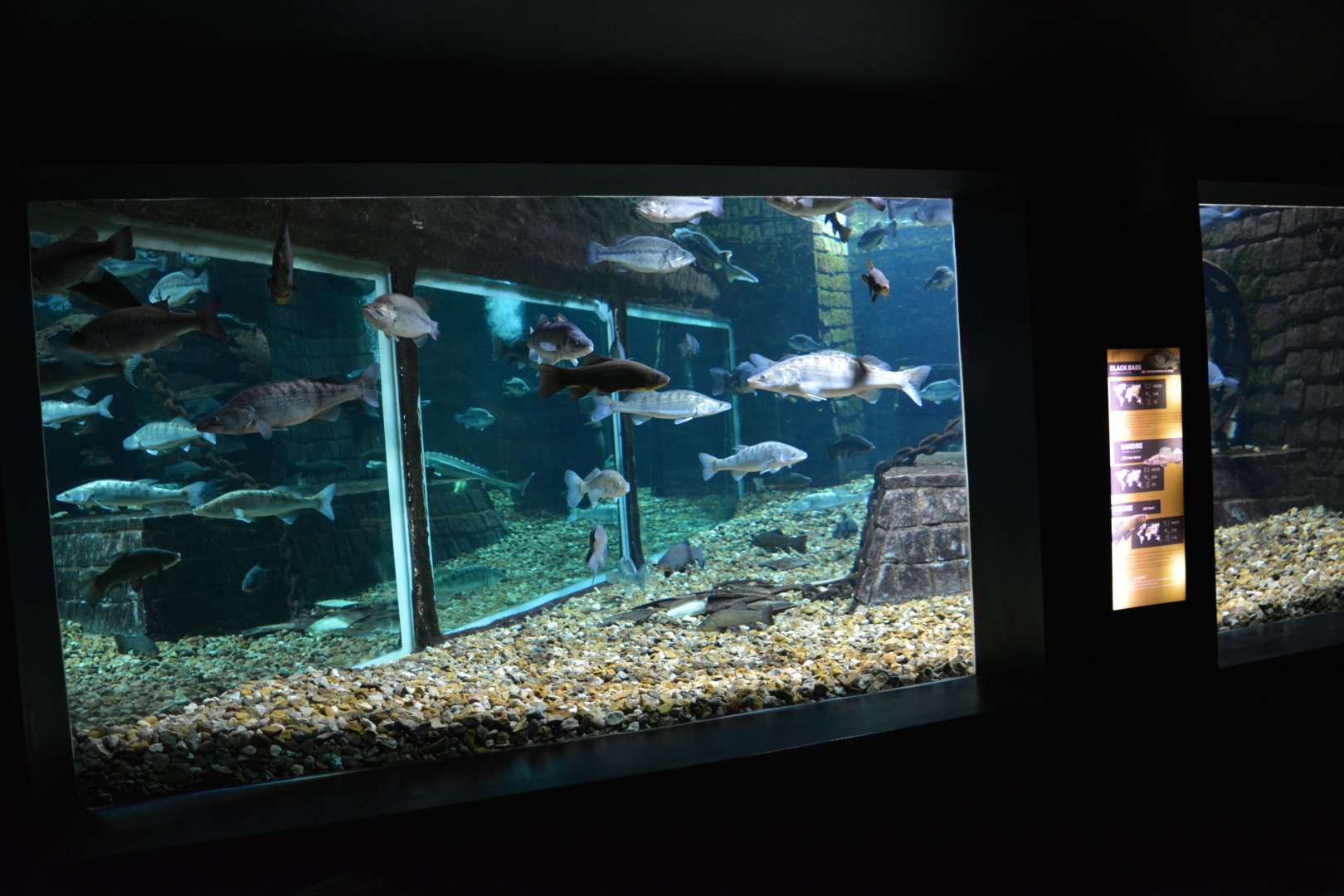 Grand Aquarium de Tourainne - Aquarium for sturgeons and other species