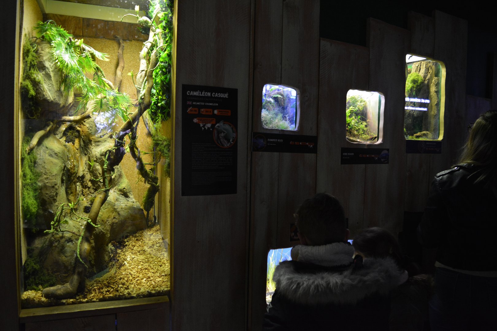 Grand Aquarium de Tourainne - Different aquariums and terrariums