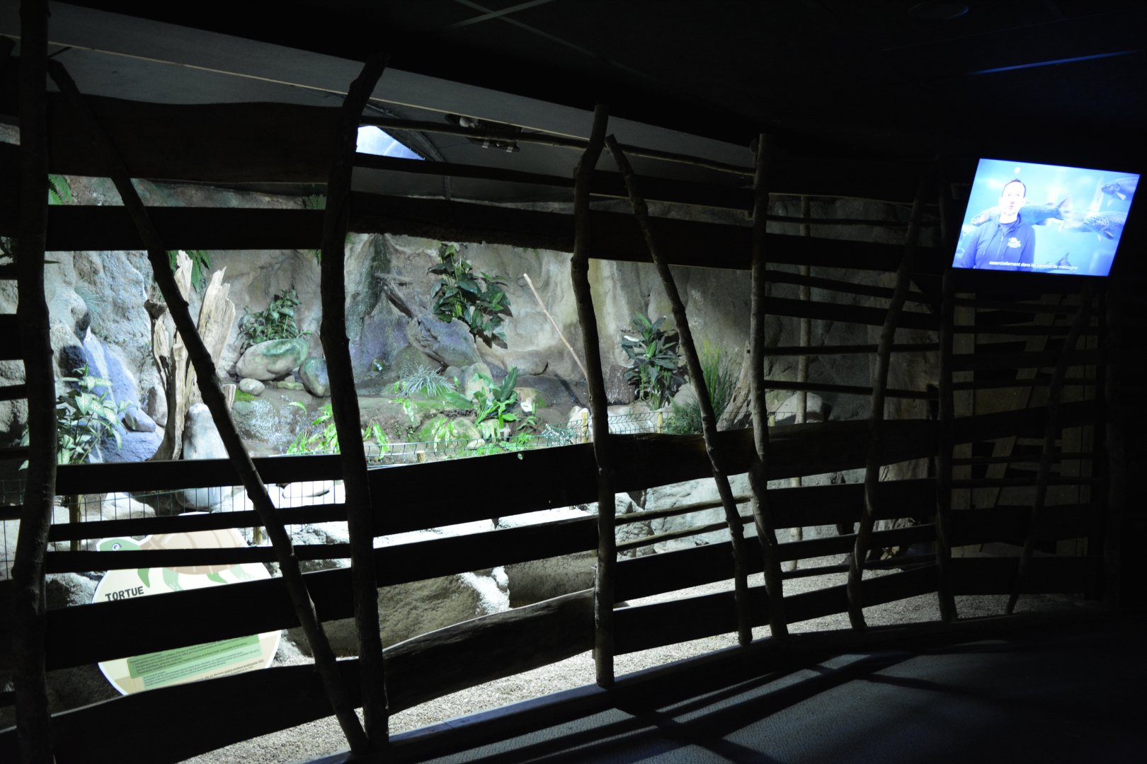 Grand Aquarium de Tourainne - Invasive turtles enclosure