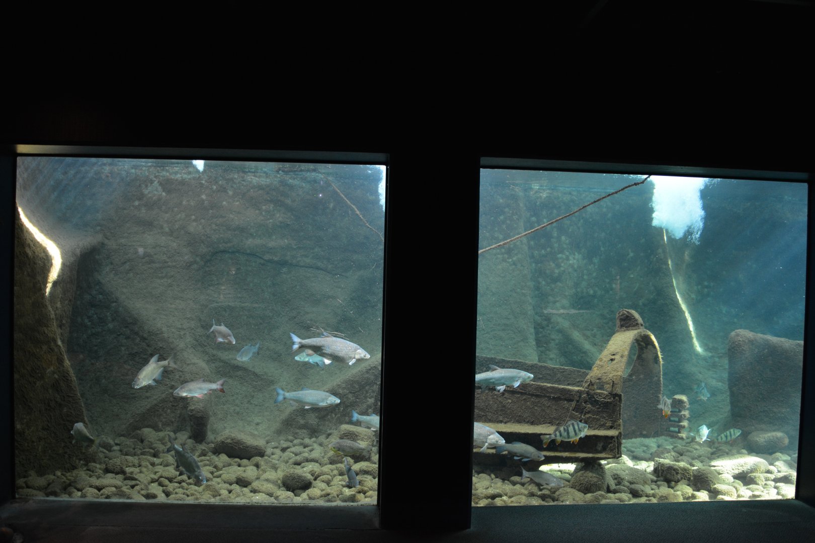 Grand Aquarium de Tourainne - Loire River aquarium