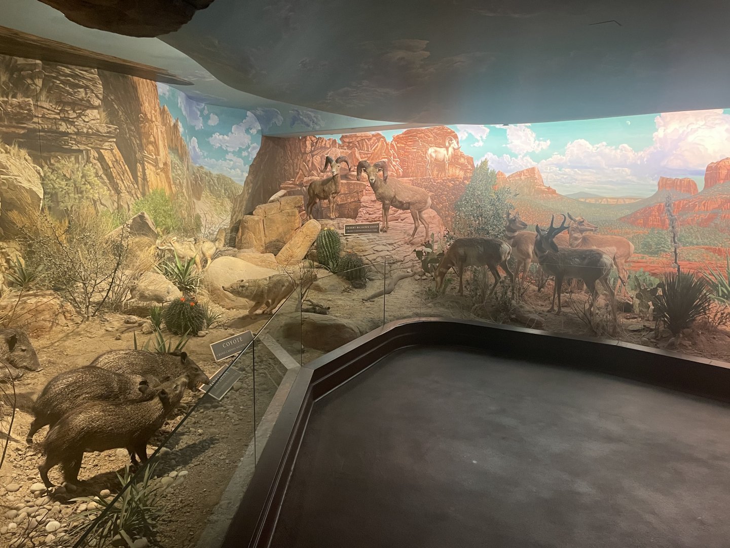 Grand Canyon National Park Room