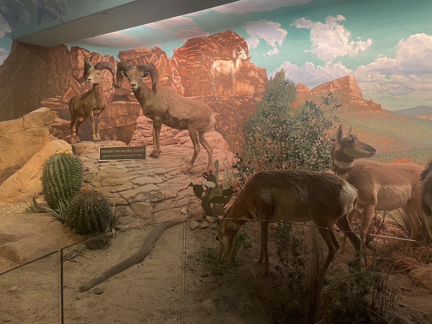 Grand Canyon National Park Room