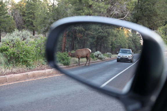 Grand Canyon traffic jam