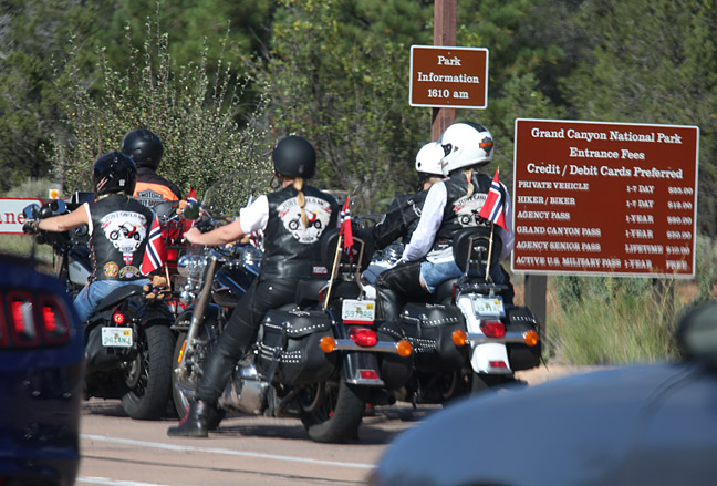 Grand Canyon wildlife