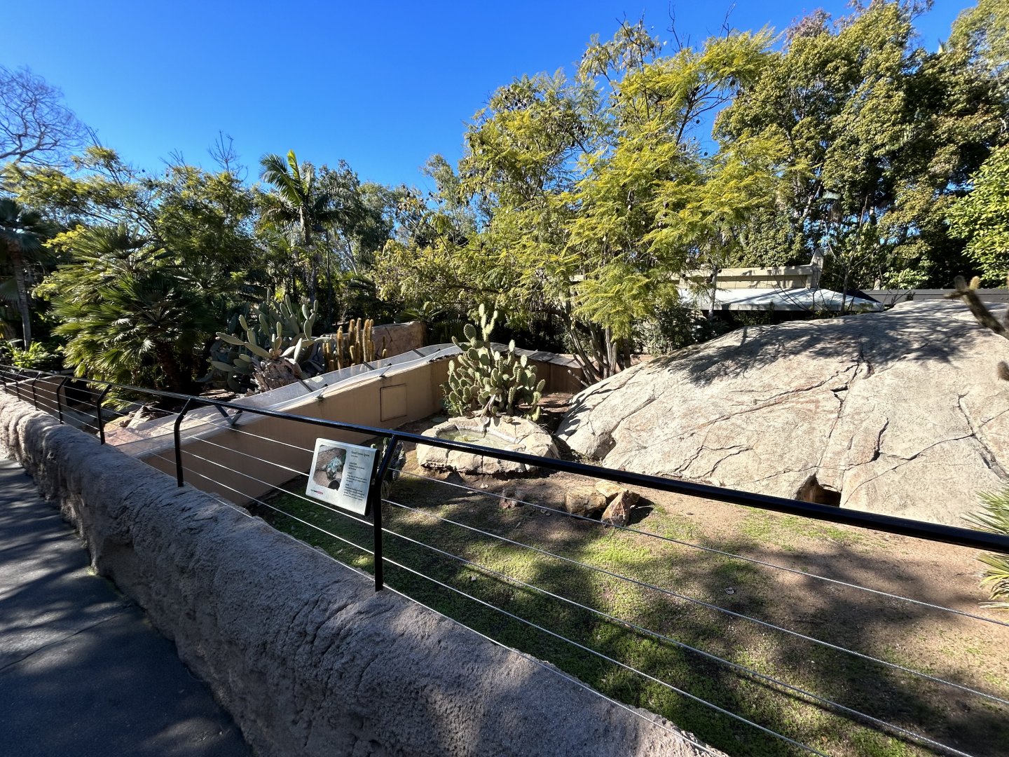 Grand Cayman Iguana Exhibit - Reptile Walk