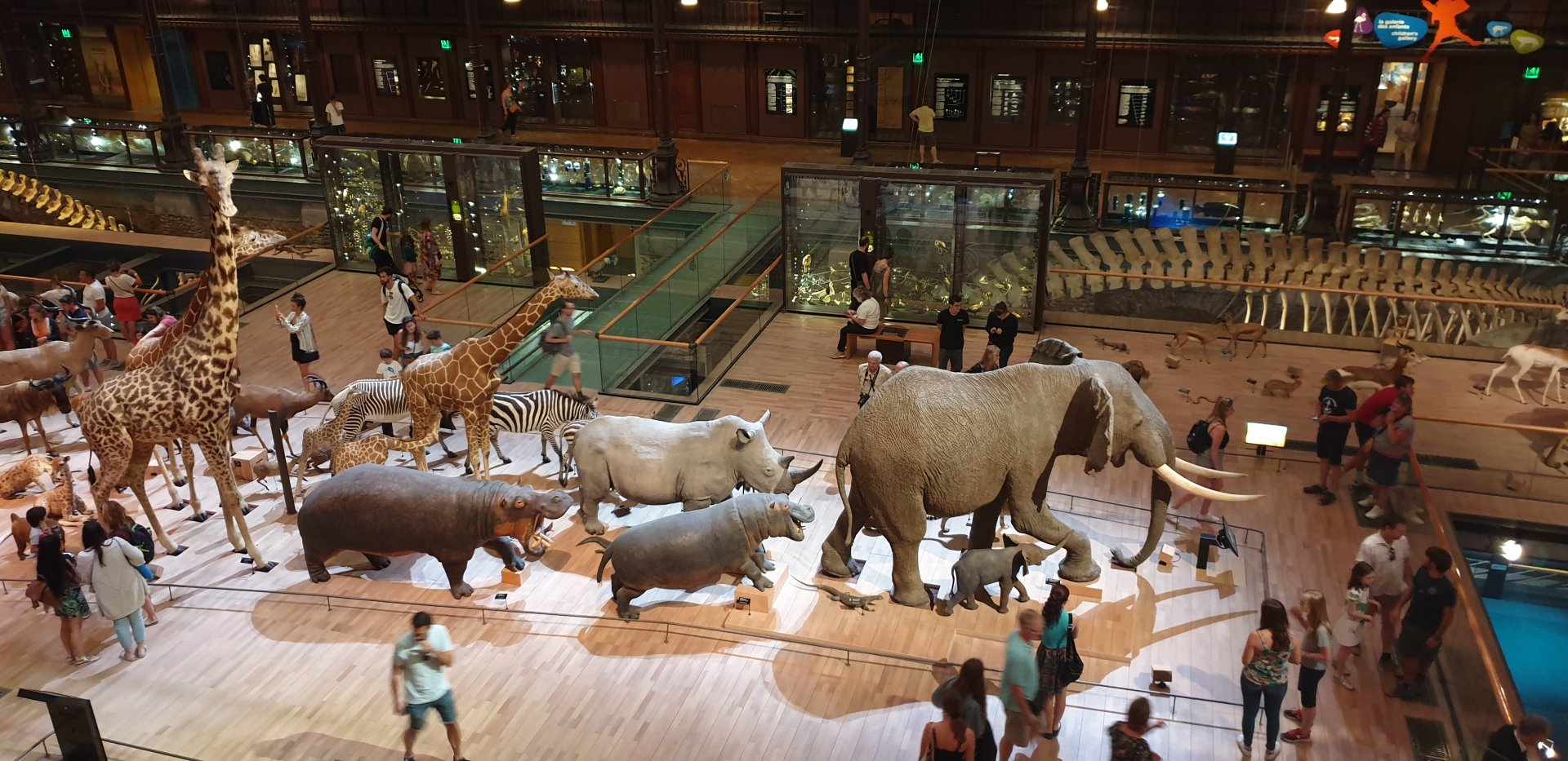 Grand Galerie de L'Evolution