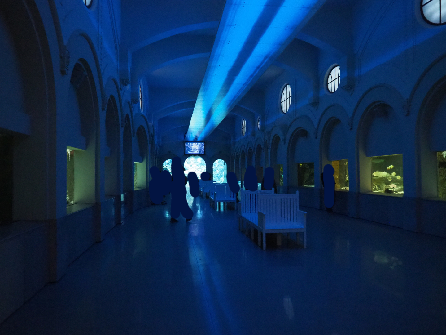 Grand hall of the aquarium, 2020-05-24