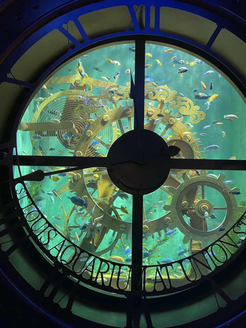 Grand Lobby- Cichlid Tank with Gear Clock