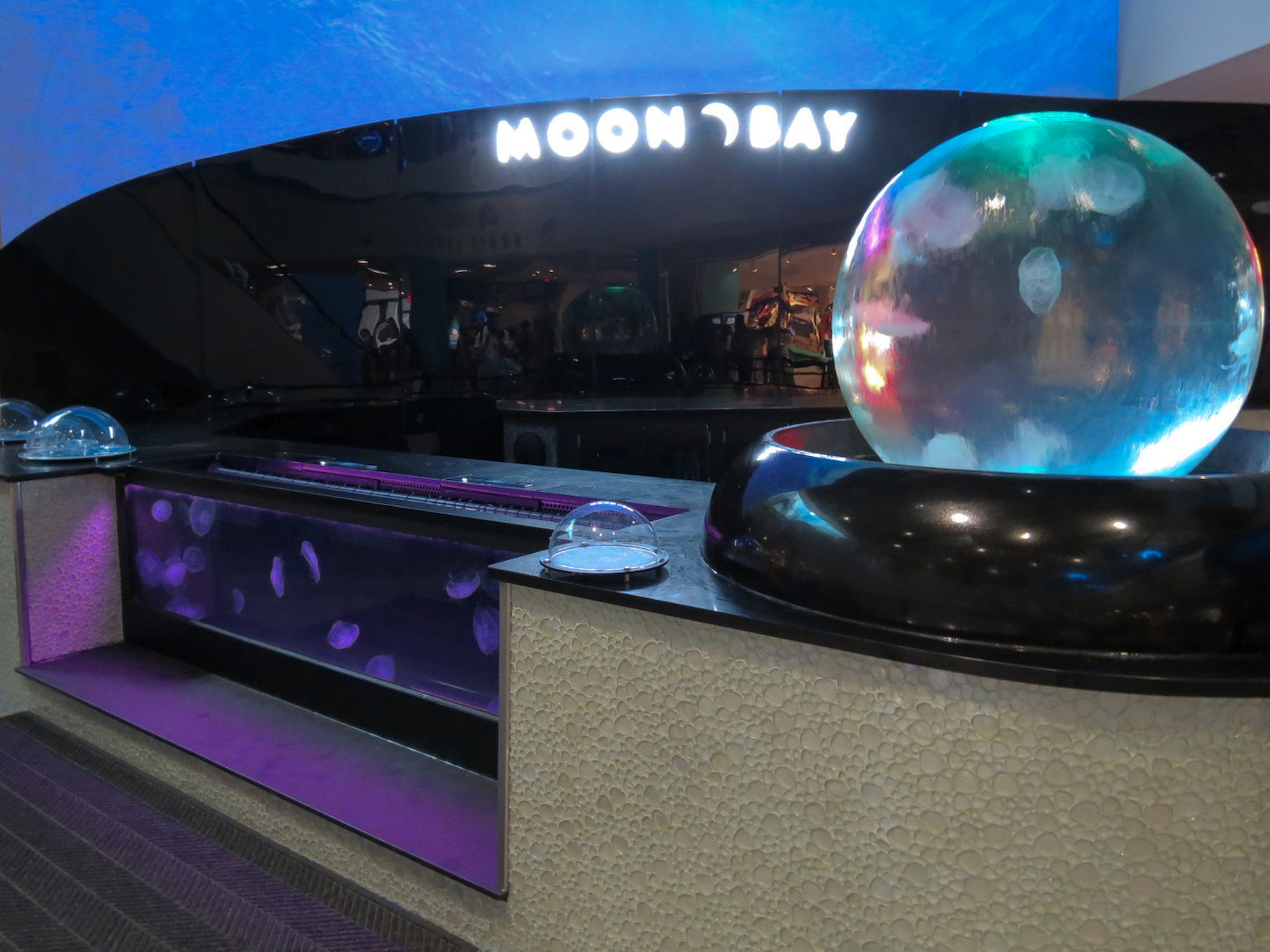 Grand Lobby - Moon Bay Exhibits