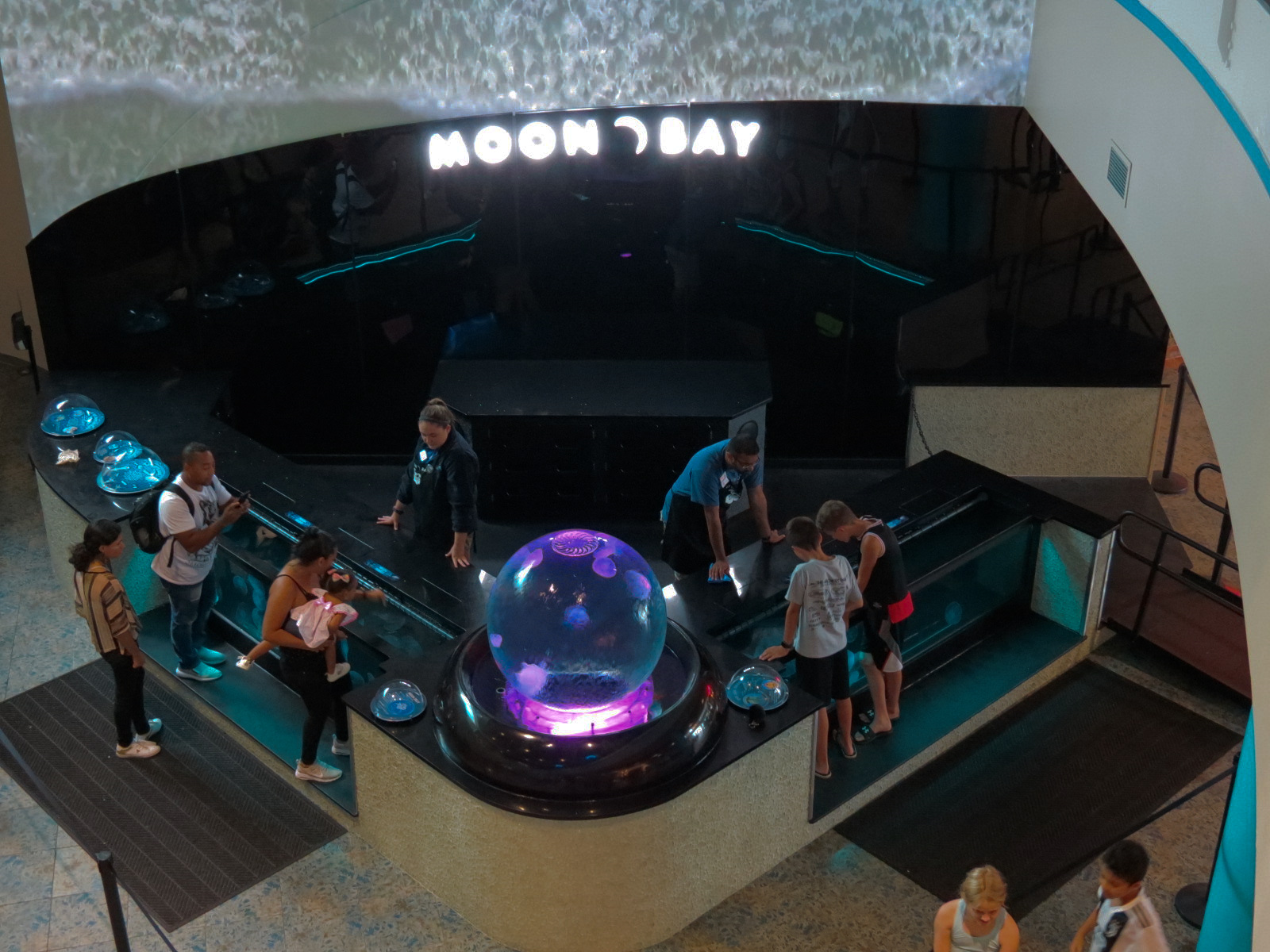 Grand Lobby - Moon Bay Exhibits