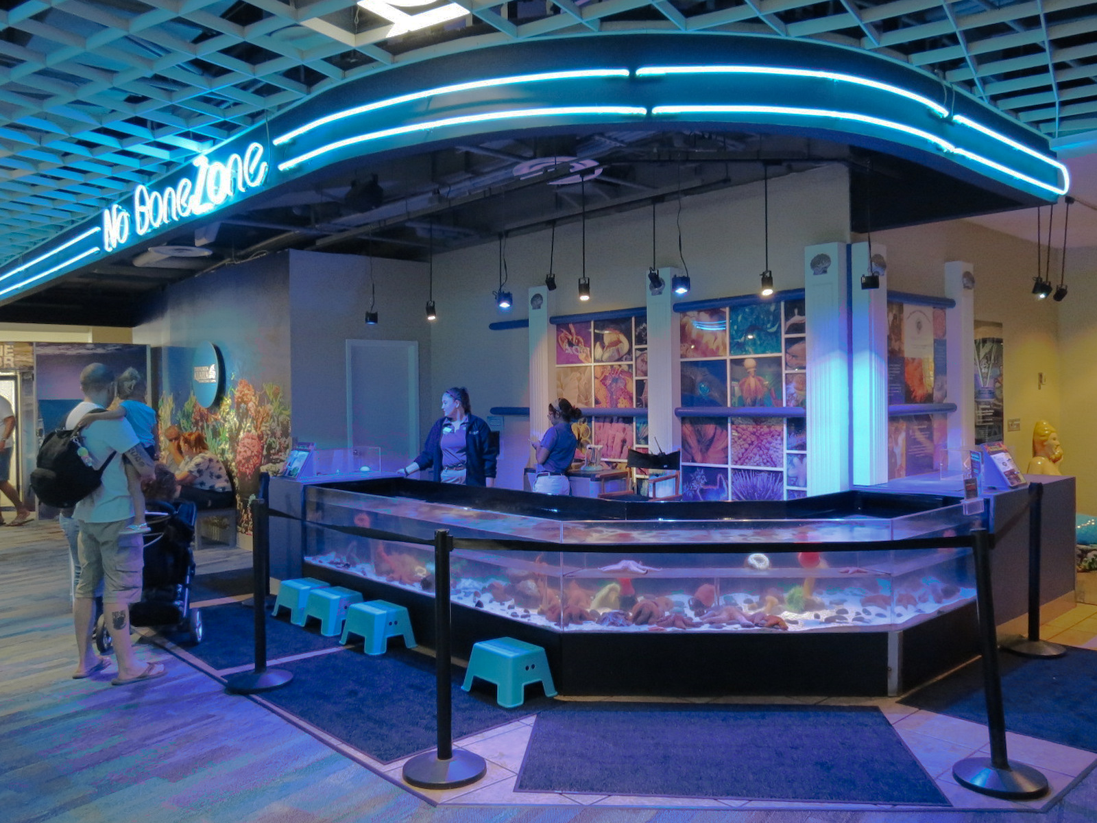 Grand Lobby - No Bone Zone Touchtank